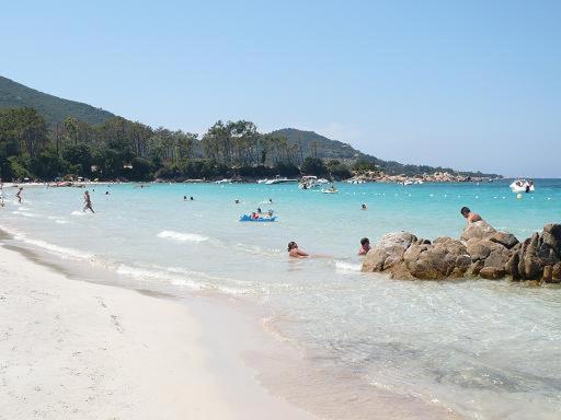 un grupo de personas en el agua en una playa en Bella Vista 42, T2 vue mer piscine Porticcio, en Porticcio