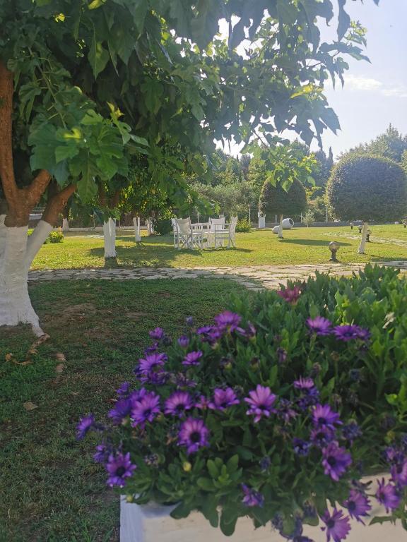 Zahrada ubytování Villa Adamidis