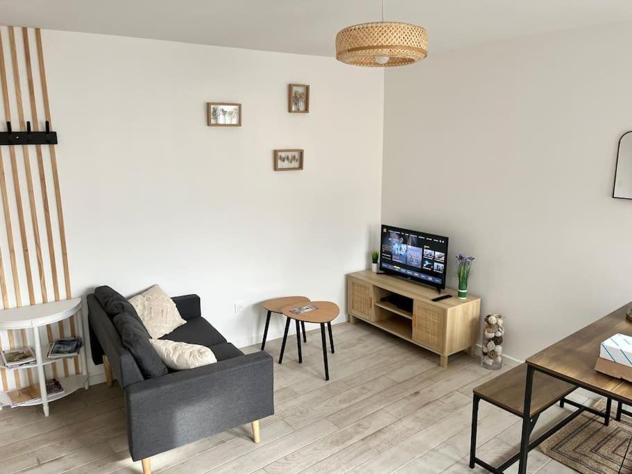 un salon avec un canapé et une télévision dans l'établissement Maison centre ville Ardres, à Ardres