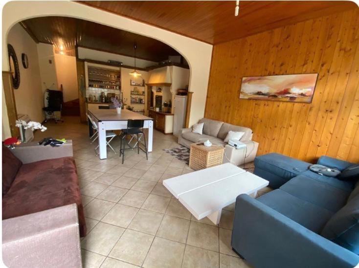 un salon avec un canapé et une table dans l'établissement Maison entière proche de Genève, à Beaumont