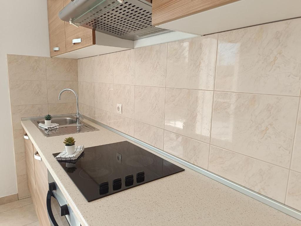 Kuchyňa alebo kuchynka v ubytovaní Apartments Antonia