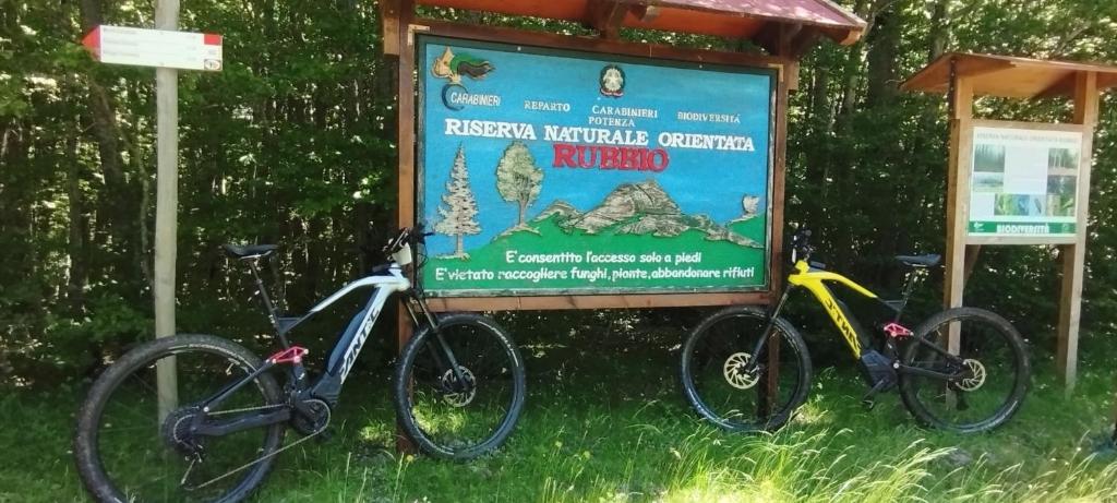 Jízda na kole v ubytování Agriturismo Acqua Bianca nebo okolí