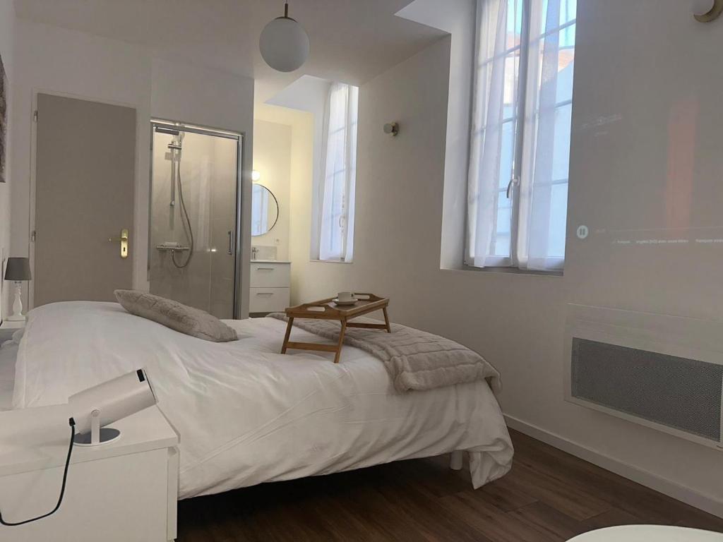 una camera bianca con letto e doccia di Maison des ambans chambres d'hotes hypercentre 200m de la gare et petit dejeuner inclus a Agen