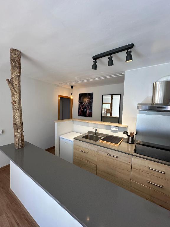 a kitchen with a sink and a counter top at Apartamento DALIA in La Molina