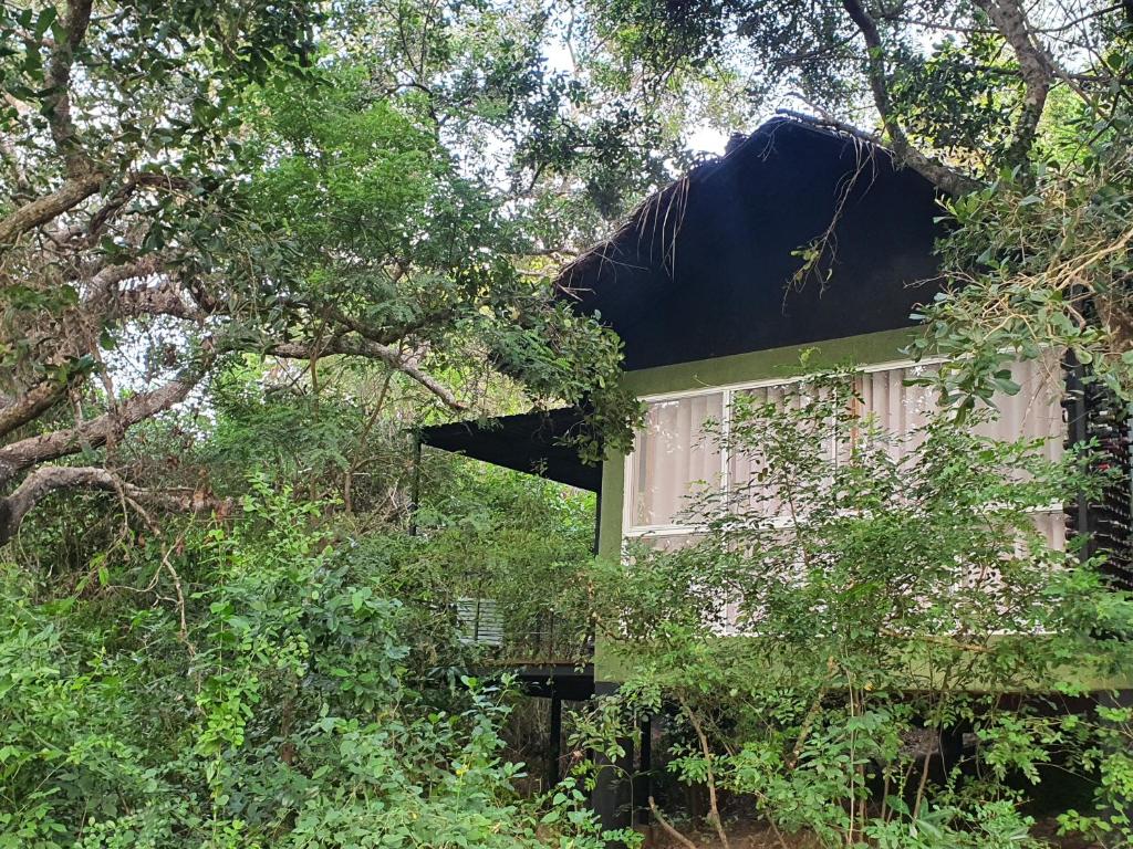 The Backwaters Lodge - 19