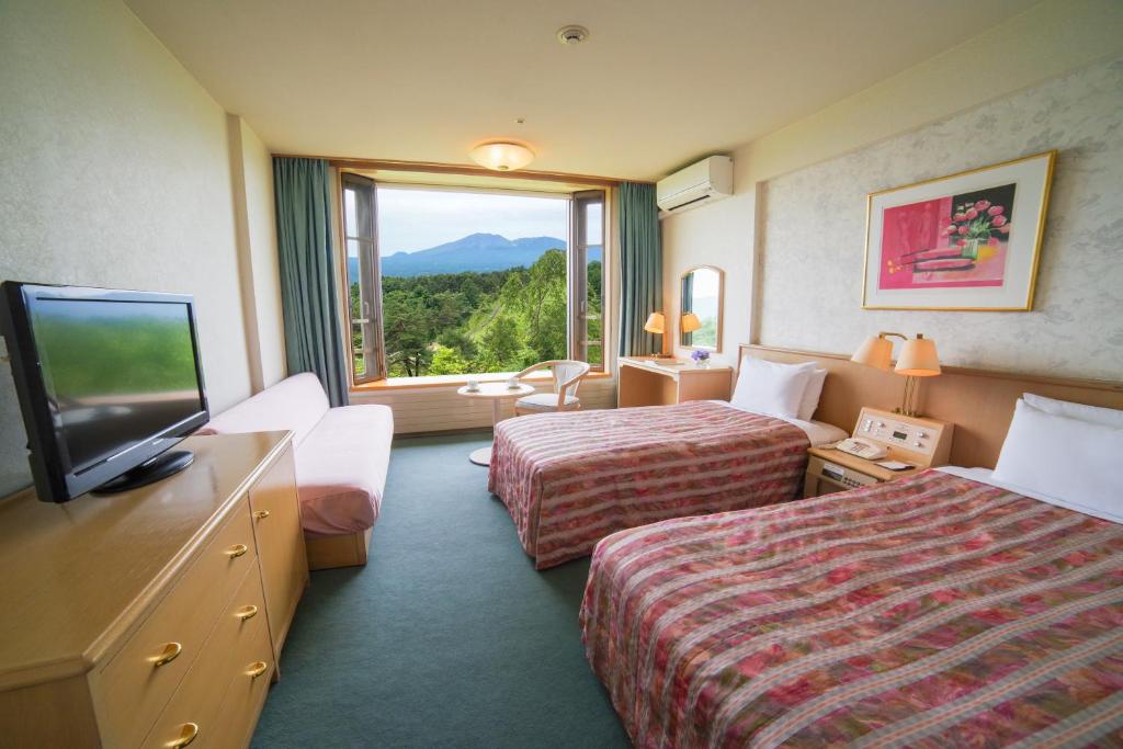 TV a/nebo společenská místnost v ubytování Tsumagoi Prince Hotel