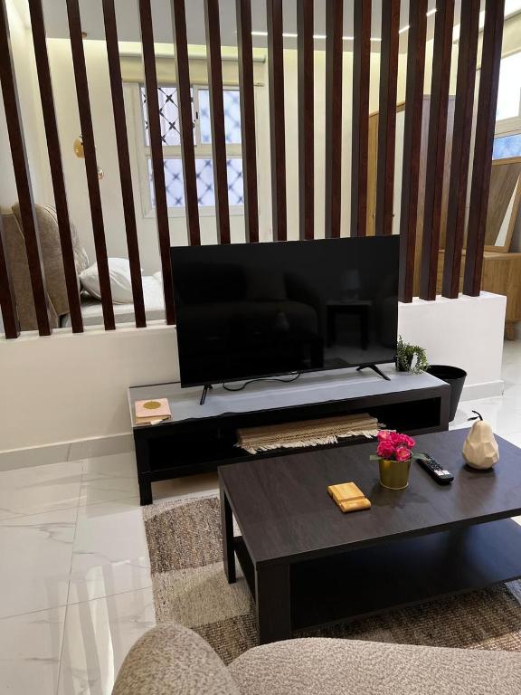 TV a/nebo společenská místnost v ubytování استديو الجال