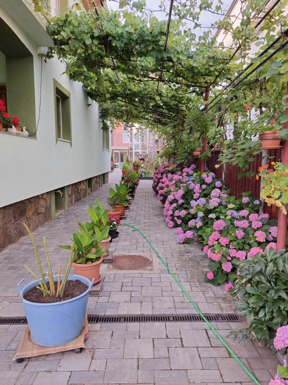 Rodica Apartment - Housity