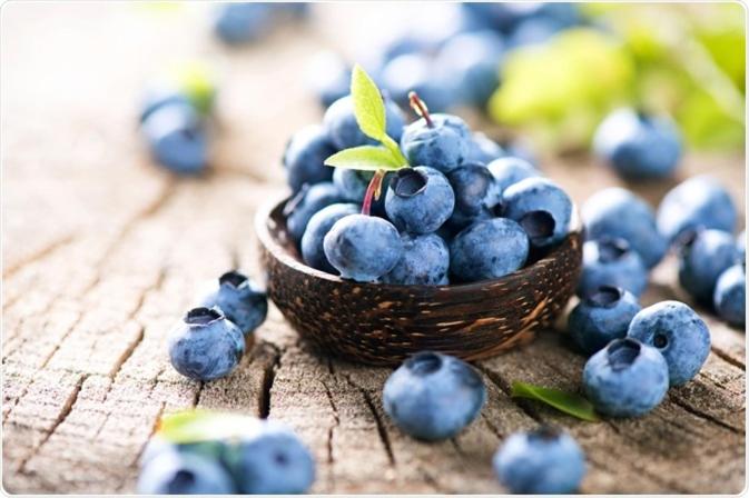 Fotografie z fotogalerie ubytování Blue Berries Hotel v destinaci Entebbe