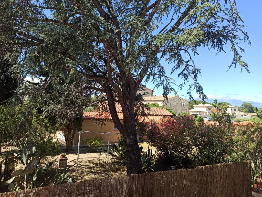 un arbre dans une cour derrière une clôture en bois dans l'établissement Calme et volupté avec animaux, à Saint-Jean-Lasseille
