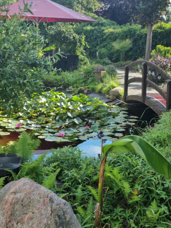 Landhaus Alpinia - Resim 17