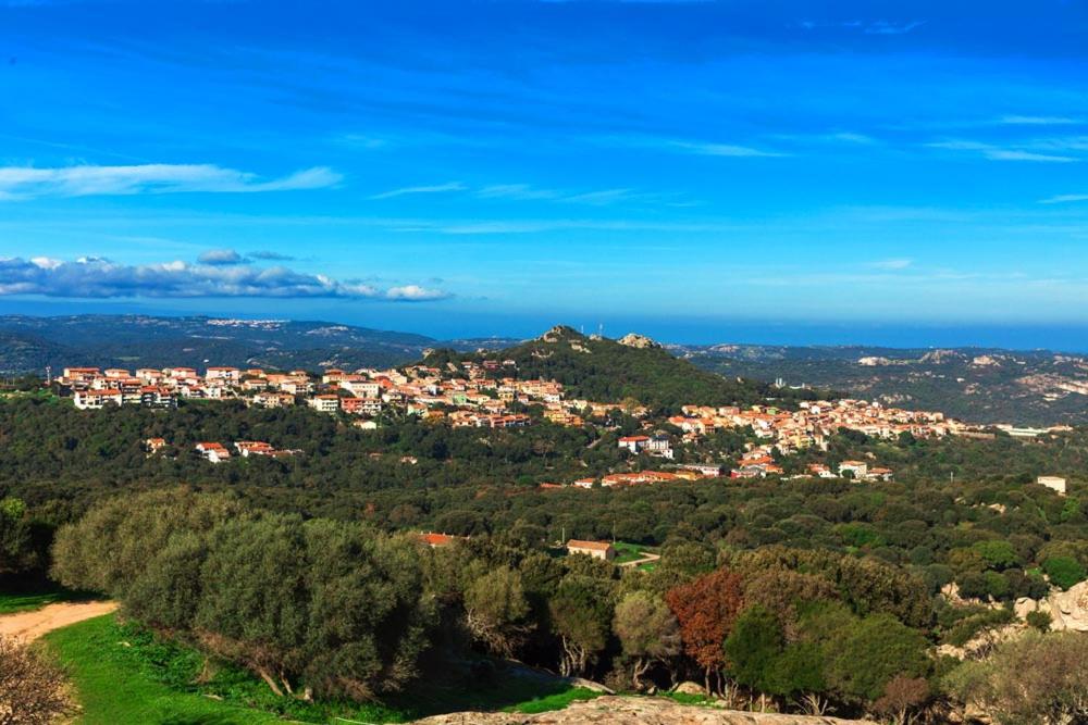 vista su una città su una collina alberata di La casa di Mamma, Appartamento di charme nel borgo a Luogosanto