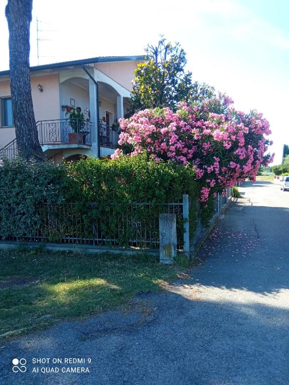a fence with pink flowers in front of a house at Casa Vintago b&b in Savio di Ravenna