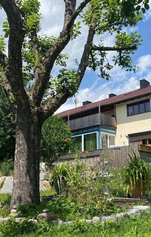 a house with a tree in the yard at Ferienwohnung Altes Zollhaus in Ering