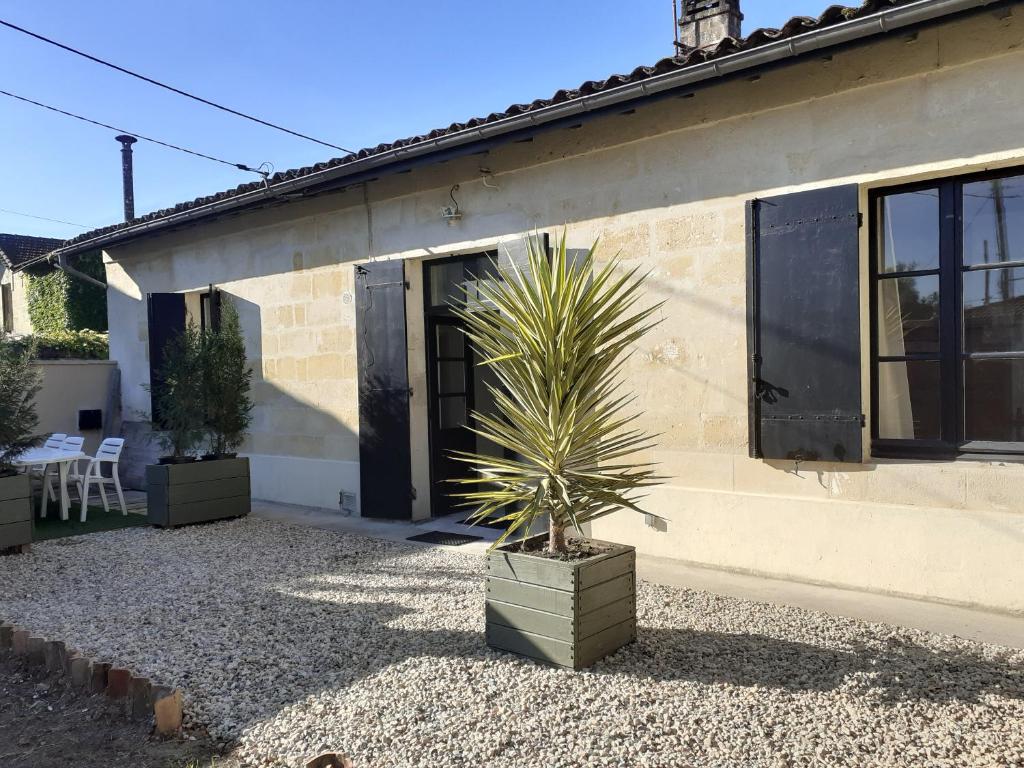 une plante dans un pot devant une maison dans l'établissement le Doumayne, à Libourne