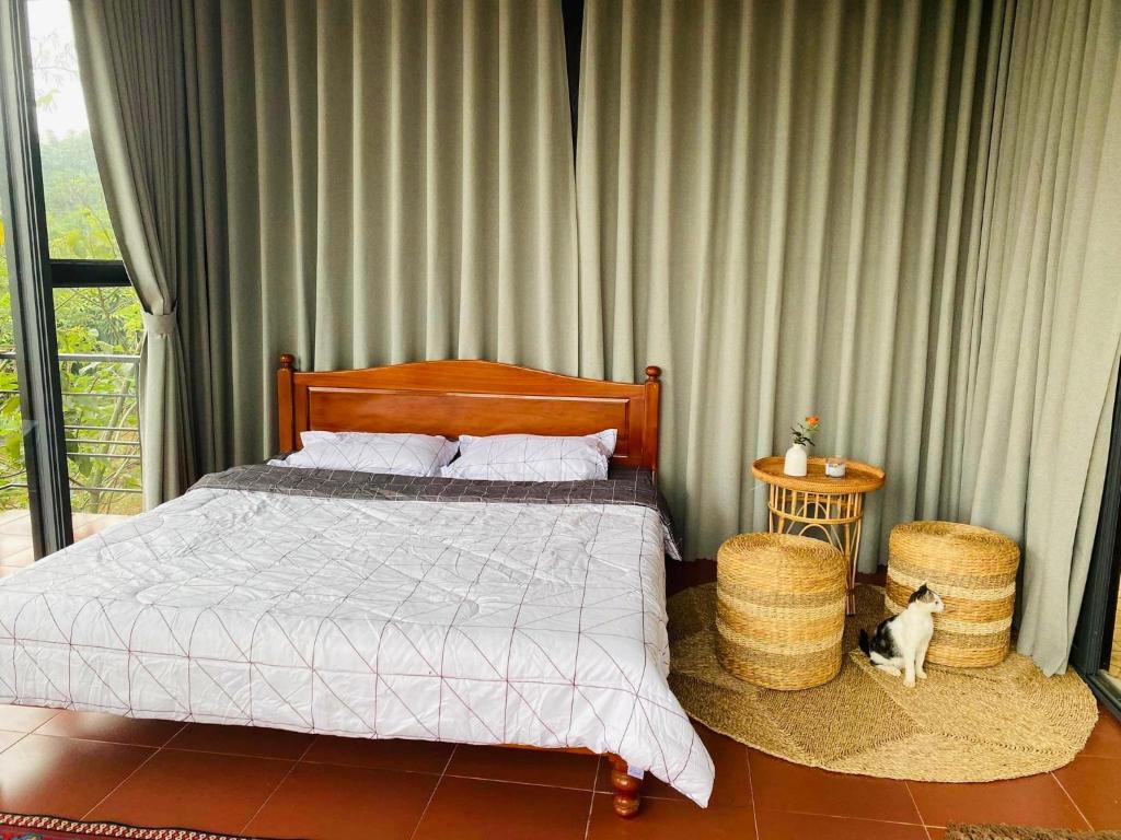 Yoga-Tea-Houses في Ấp Tân Hà: غرفة نوم بها سرير وقطة تجلس بجوار طاولة