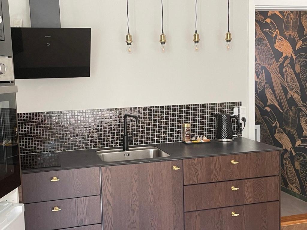 Kuchyň nebo kuchyňský kout v ubytování Jonstrupvejens Apartments Lejl D