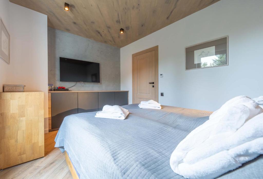 TV a/nebo společenská místnost v ubytování Apartamenty Kalinowa z sauną i bawialnią - Dream Apart
