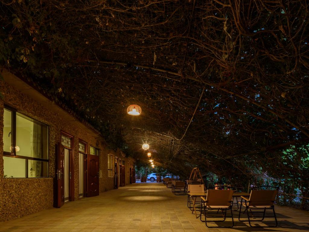 Fotografie z fotogalerie ubytování Dunhuang Hu Yang Inn v destinaci Tun-chuang