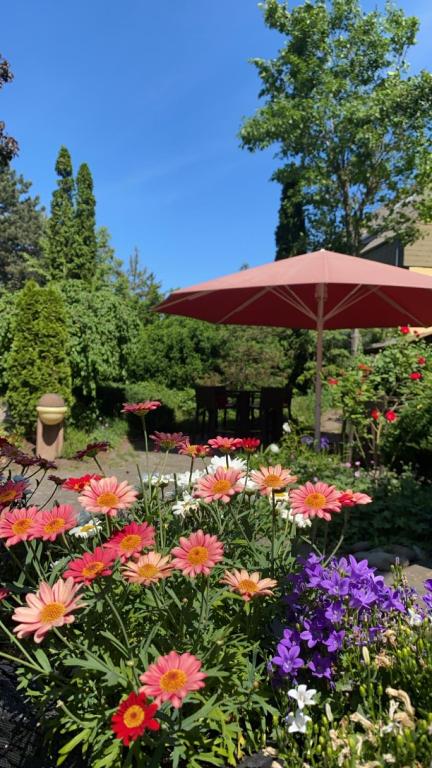 Landhaus Alpinia - Resim 39