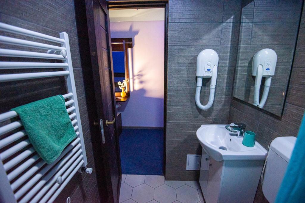 PENSIUNEA LAINER - Camera Doppia Con Bagno Privato