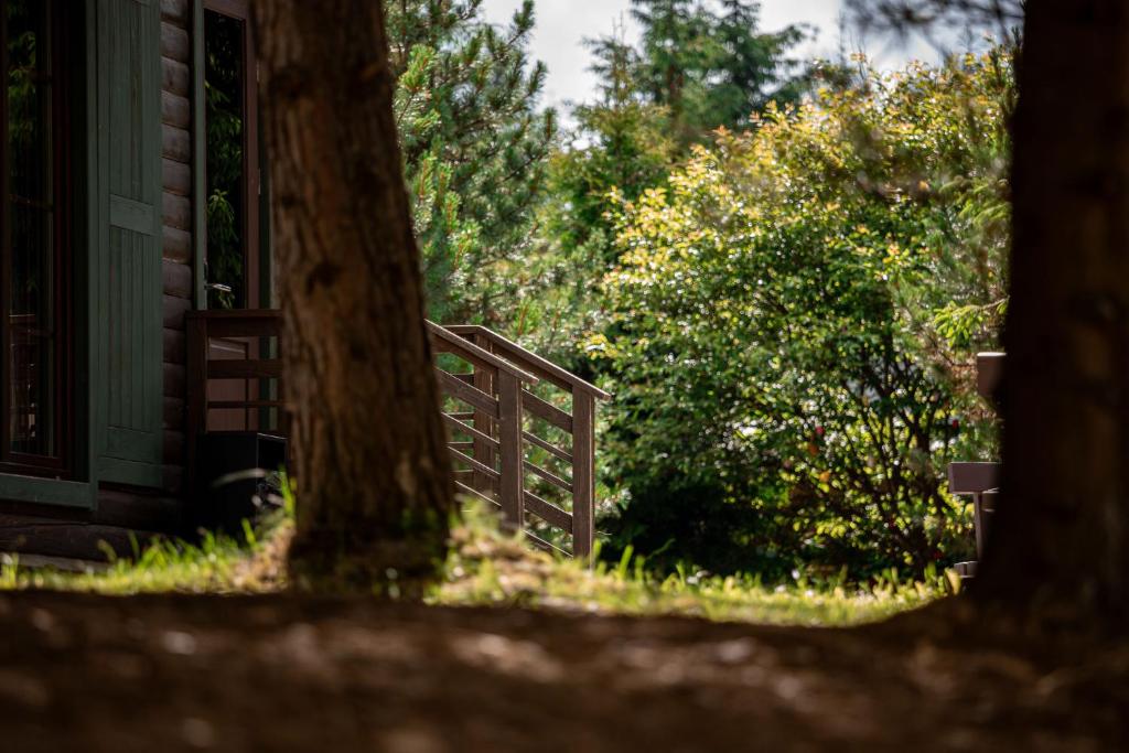 a wooden gate in front of a house with trees at Bukovel Hotel in Bukovel