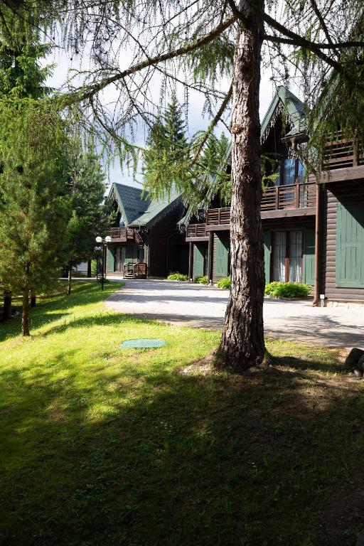 a tree in the grass next to a house at Bukovel Hotel in Bukovel