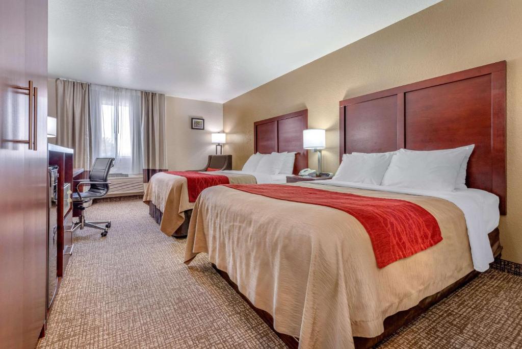 Comfort Inn - Queen Room Met Twee Queensize Bedden