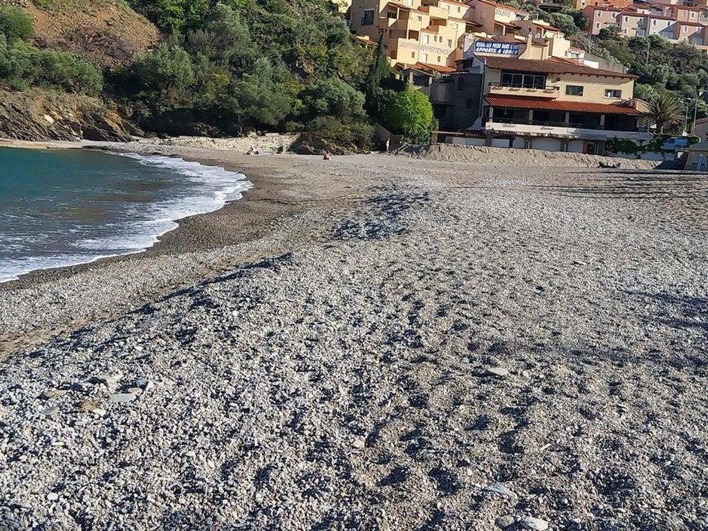 une plage rocheuse avec des maisons en arrière-plan dans l'établissement les elmes 3, à Banyuls-sur-Mer