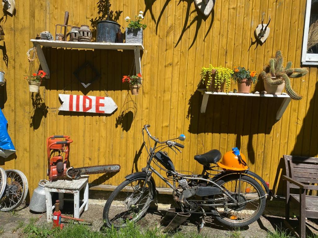 Fotografie z fotogalerie ubytování Torgu Royal Guesthouse v destinaci Iide