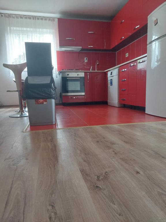 Kuchyň nebo kuchyňský kout v ubytování Casa de la Dunăre