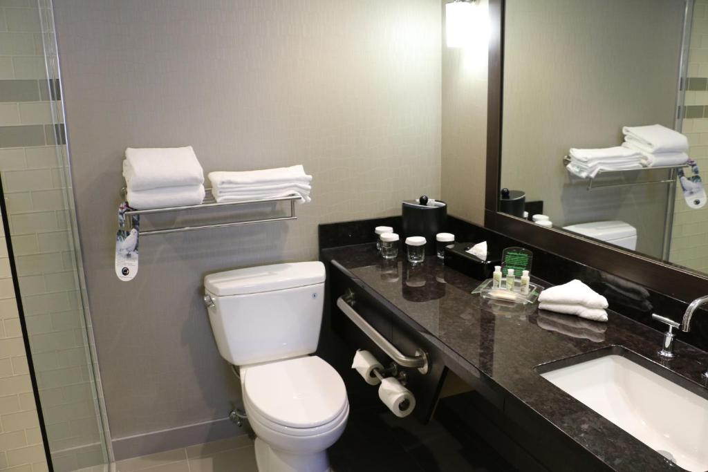Koupelna v ubytování Holiday Inn Calgary Airport by IHG