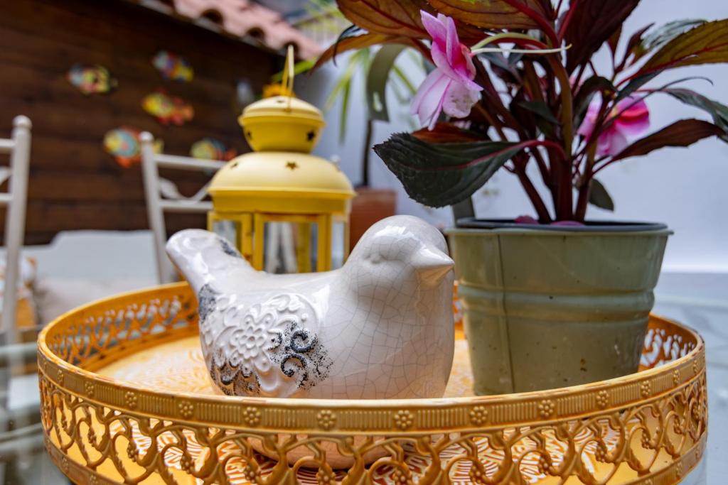 Red House 2- With terrace - 12