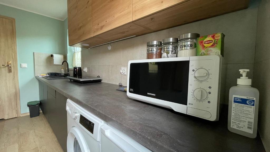 Kuchyň nebo kuchyňský kout v ubytování Apartament U Waldka