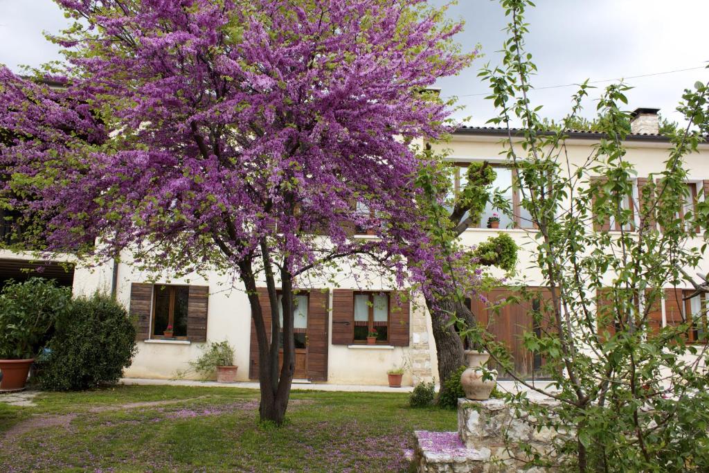 a purple tree in front of a house at B&B Altè in Paderno del Grappa