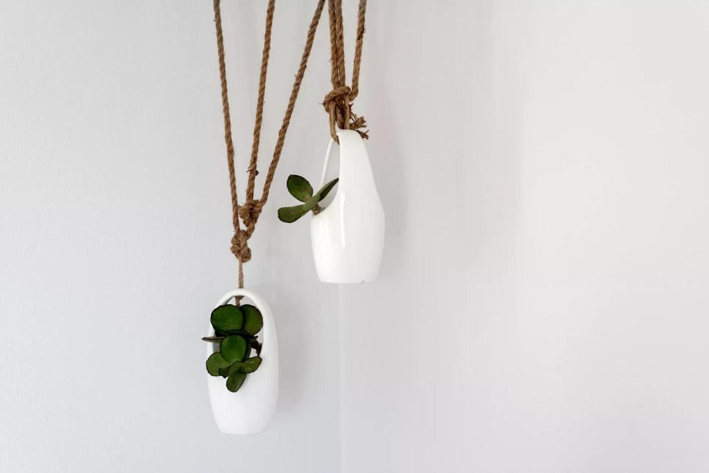 Paros Comfy Suites - 7