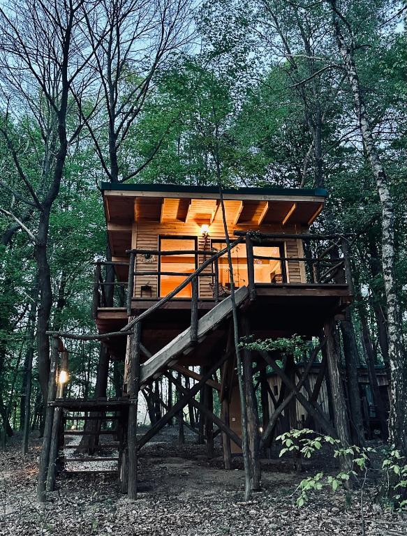 a tree house in the middle of the forest at Living Forest Resort in Moravske-Toplice