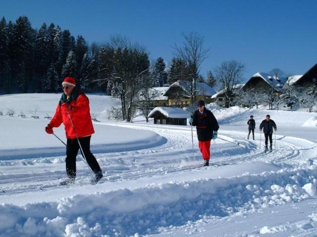 Am Ferienbauernhof Schmiedbauer com Salzkammergut v zimě