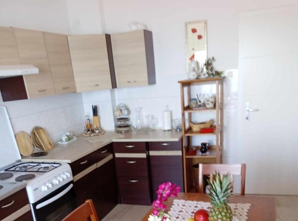 Kuchyň nebo kuchyňský kout v ubytování Apartments Julia
