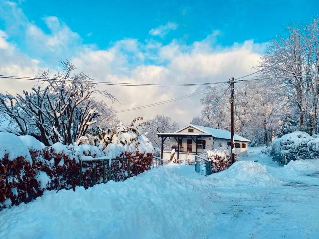 Vedders Berghütte v zimě