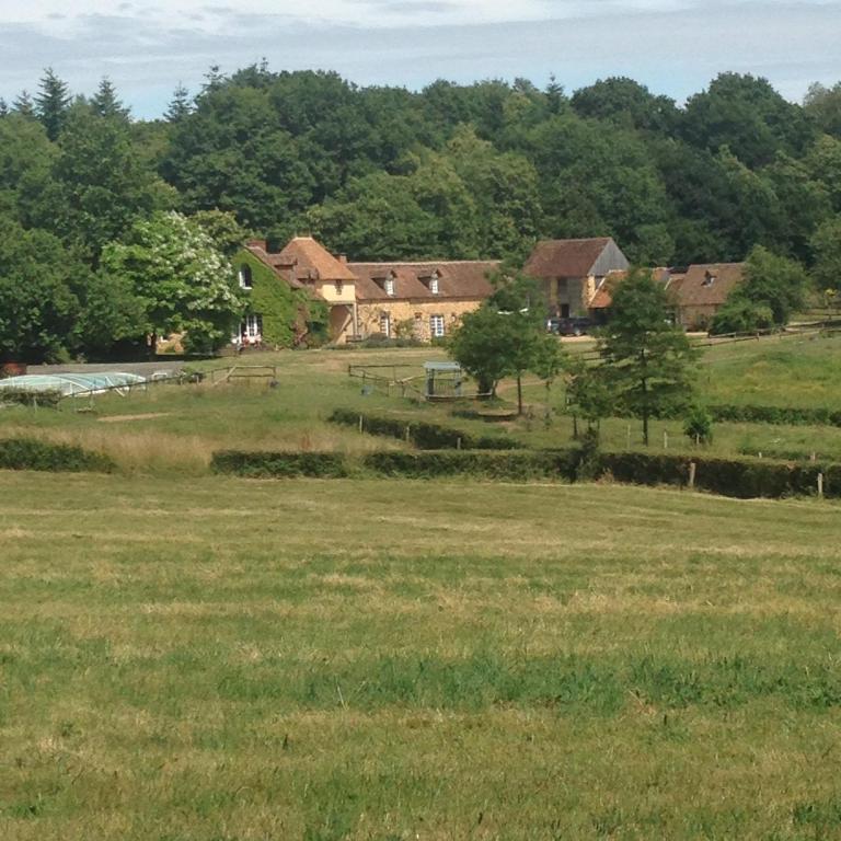 un champ d'herbe avec des maisons en arrière-plan dans l'établissement Le Bois Guillaume, à Domfront-en-Champagne