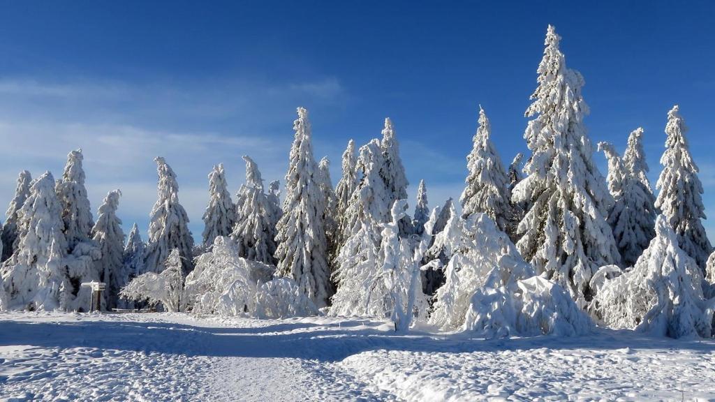 Vedders Berghütte v zimě