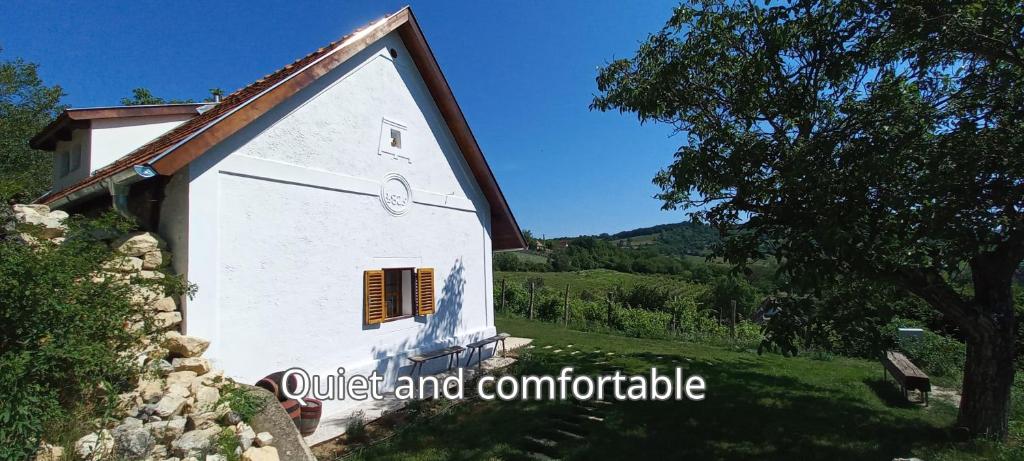 Press House at the Walnut Tree - MyPressHouse 8245 Pécsely, Szőlőhegy dűlő 1037. kép - 1
