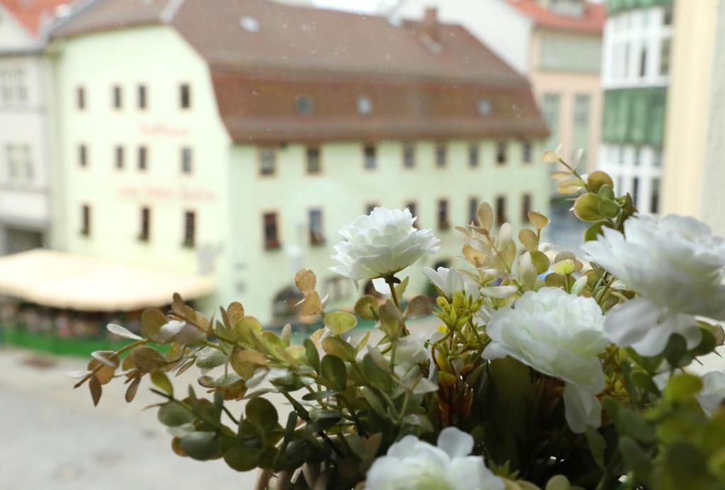 Fotografie z fotogalerie ubytování Neue Pension Stadtmitte Jena v destinaci Jena