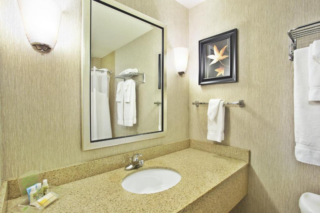 Holiday Inn & Suites Green Bay Stadium, an IHG Hotel - 