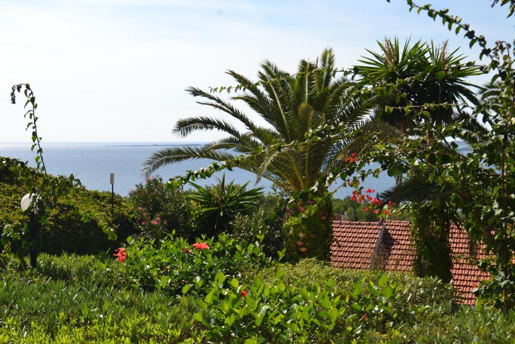 Irilena Studios and Apartments - 9