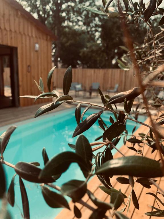une usine en face d'une piscine dans l'établissement Villa bois avec piscine, à Arès