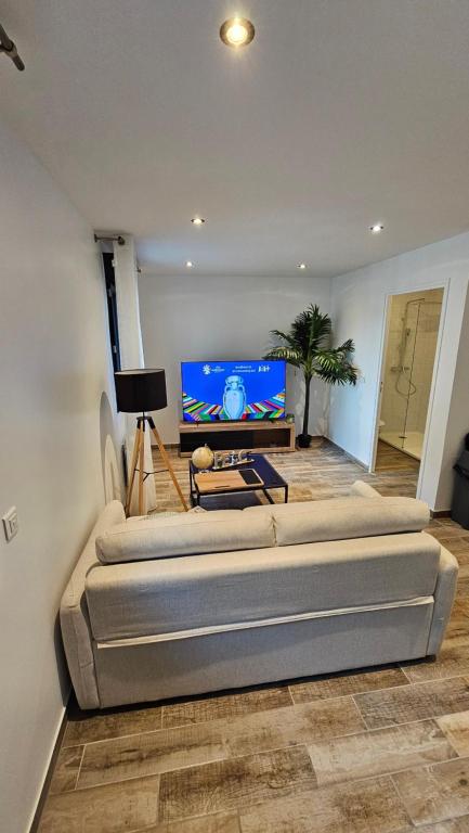 un salon avec un canapé et une télévision à écran plat dans l'établissement Magnifique appartement à Bezons, à Bezons