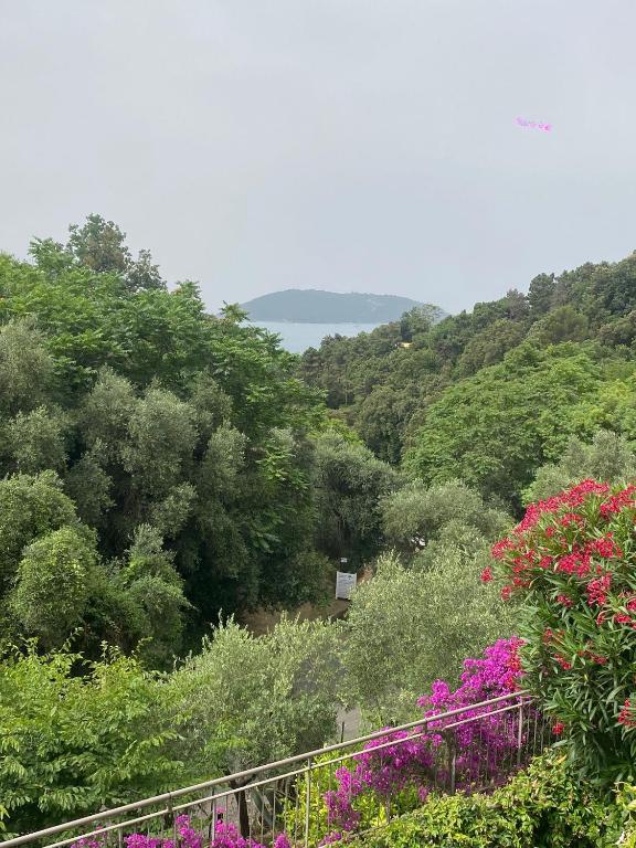 a view of a garden with flowers and trees at Oasi Verde 1 in Lerici