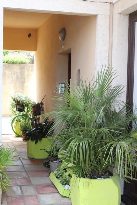 un grupo de plantas en macetas sentadas en un patio en Sunce, en Mali Lošinj